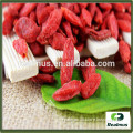 hot selling NingXia wholesale health food goji berry